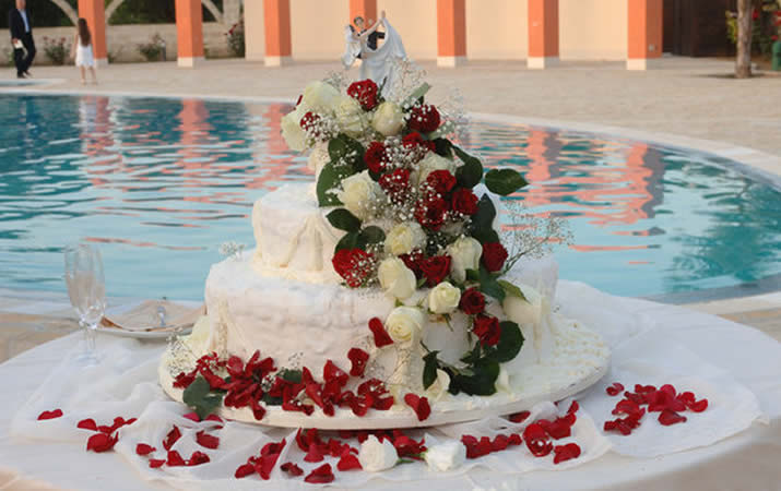 Taglio della torta